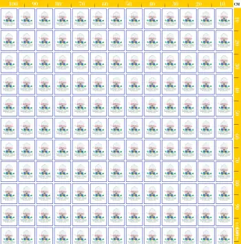 Custom Pattern Fabric
