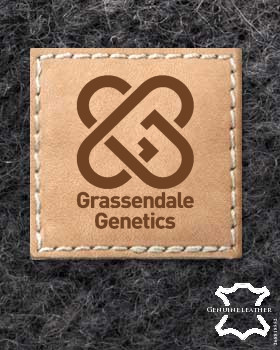 Custom Leather Labels with Logo | Personalised Leather Tags for Clothing | Leather Labels | Leather Tags